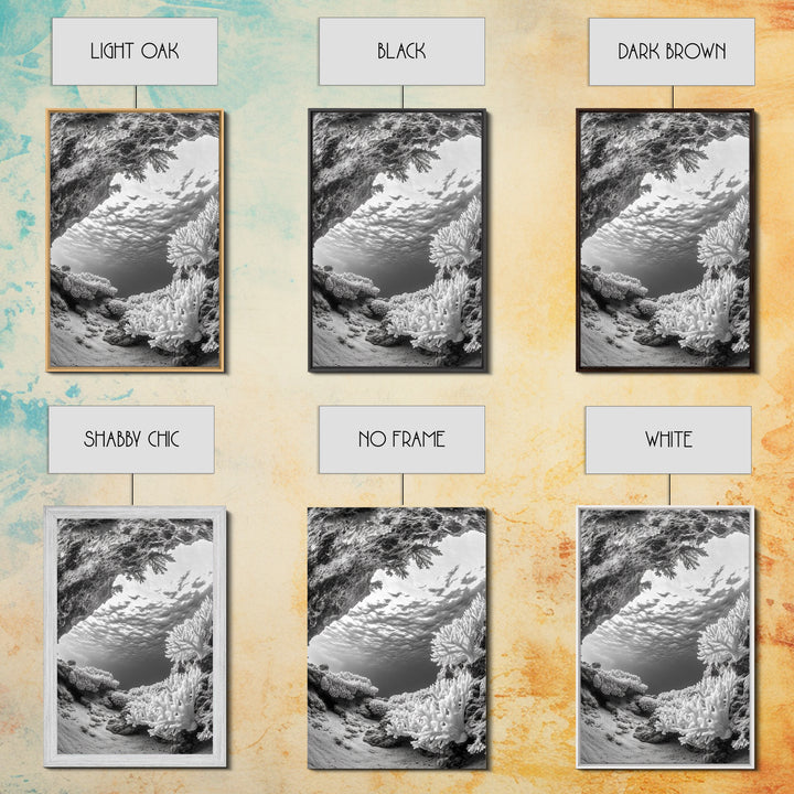 Coral Reef Underwater, Ocean Photography, Marine Nature Scene, Framed Canvas Print, Bathroom Wall Art, Coastal Minimalist Decor