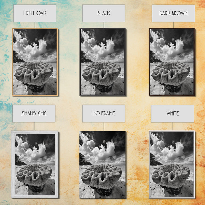 Coral Reef Texture, Ocean Wall Art, Coastal Minimalist, Nature Photography, Framed Canvas Print, Bathroom Wall Decor, Tropical Beach Print