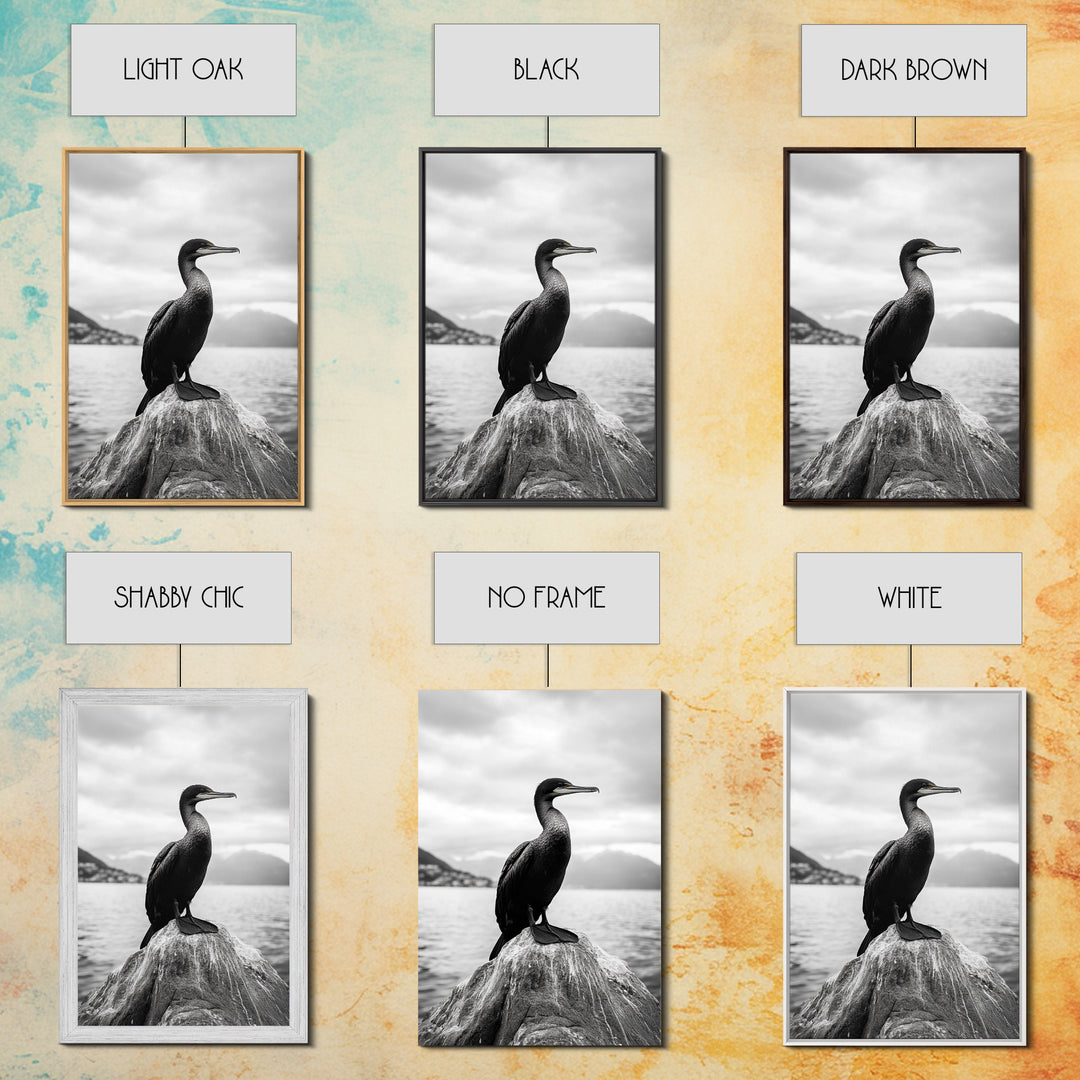 Coastal Bird Portrait, Nature Minimalism, Lake Decor, Monochrome Wildlife, Framed Canvas Print, Bedroom Wall Art, Bird Photography Print