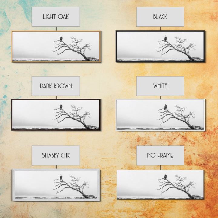 Bald Eagle, Tree Perch, Foggy Coast, Framed Canvas Print, Wildlife Photography, Cabin Wall Art, Rustic Minimalist Decor