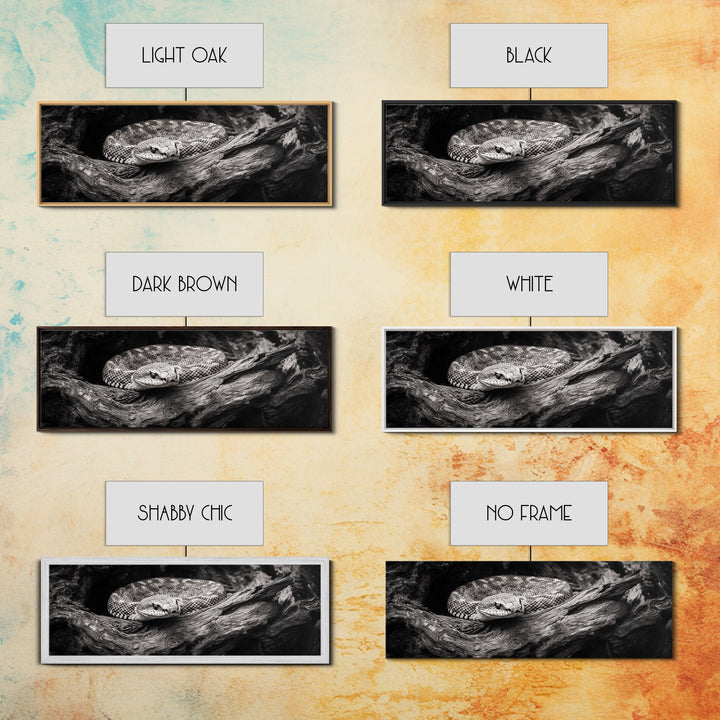 Coiled Rattlesnake, Wild Nature, Black and White, Canvas Print, Rustic Decor, Man Cave Wall Art, Cabin Style, Animal Photography, Moody Art