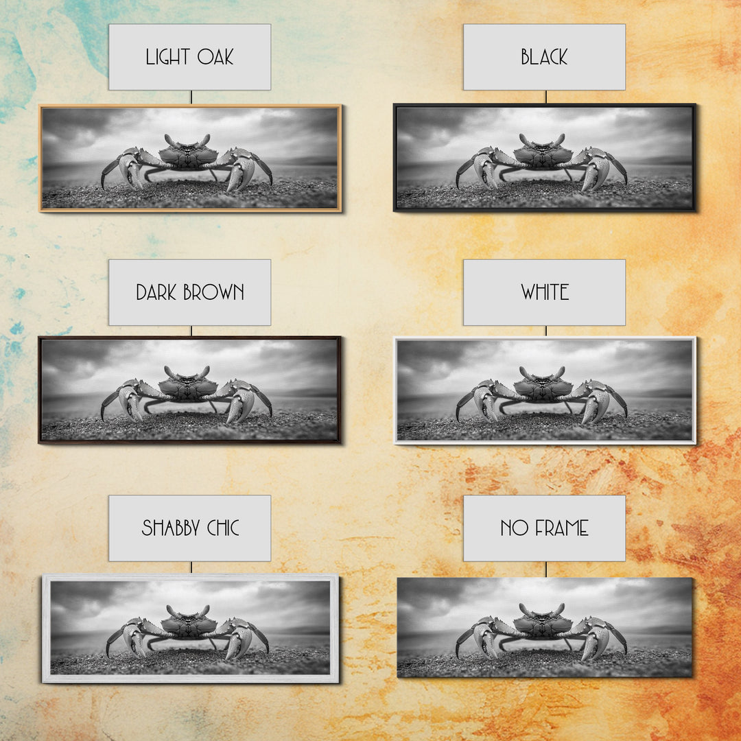 Closeup Crab, Coastal Creature, Dramatic Sand, Framed Canvas Print, Beach Wall Art, Nautical Bathroom Decor, Ocean Nature Photo