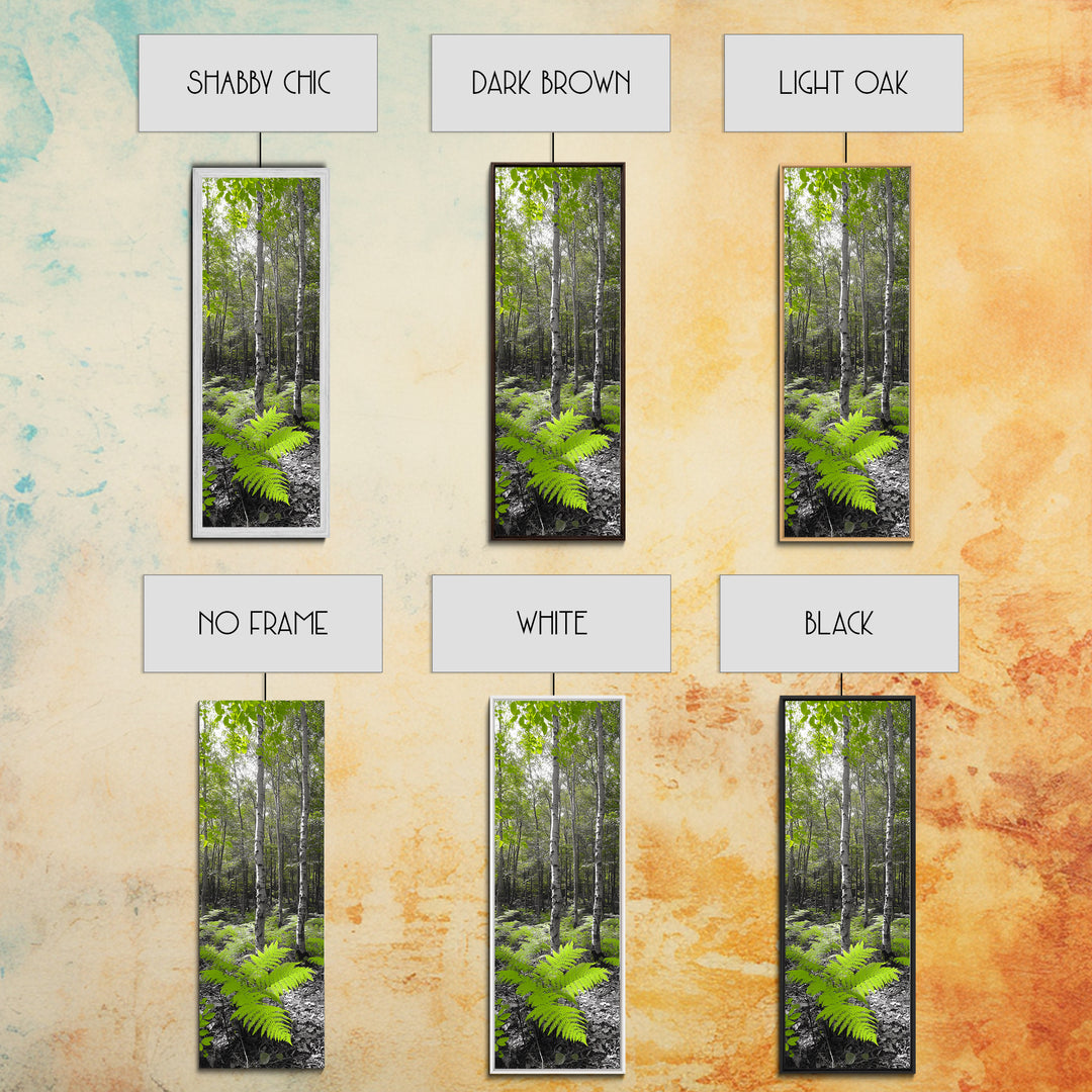 Birch Tree Forest, Green Ferns, Nature Escape, Framed Canvas Print, Botanical Art, Eco Wall Decor, Zen Forest Scene, Serene Living Room