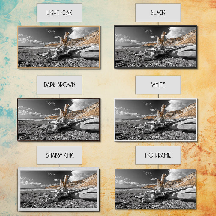 Coastal Driftwood, Beach Scene, Natural Texture, Modern Rustic, Framed Canvas Print, Neutral Tones, Office Wall Art, Coastal Vibe Decor