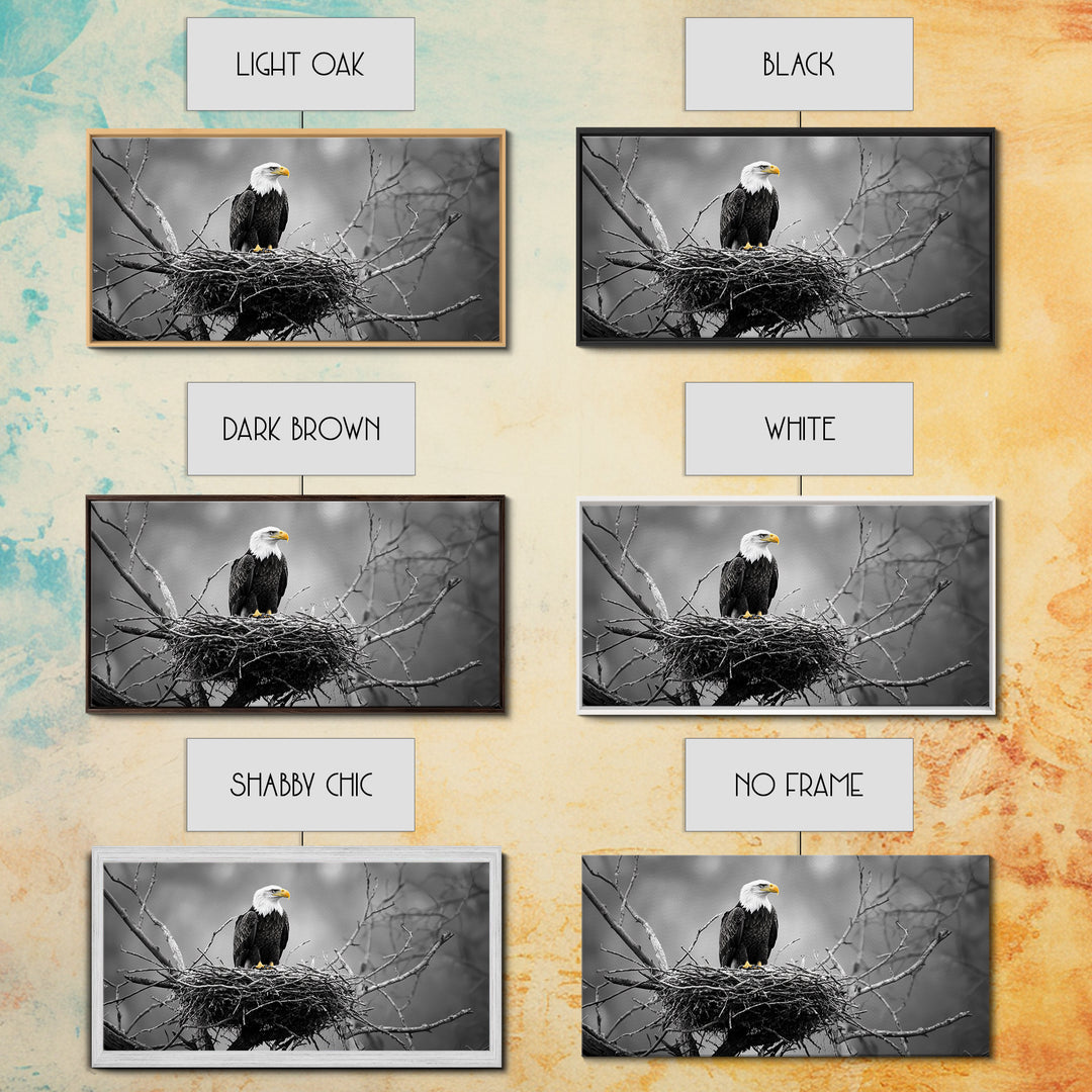 Bald Eagle, Monochrome Nature, Wildlife Photography, Fierce Majesty, Framed Canvas Print, Office Wall Art, Black White Bold Bird Scene