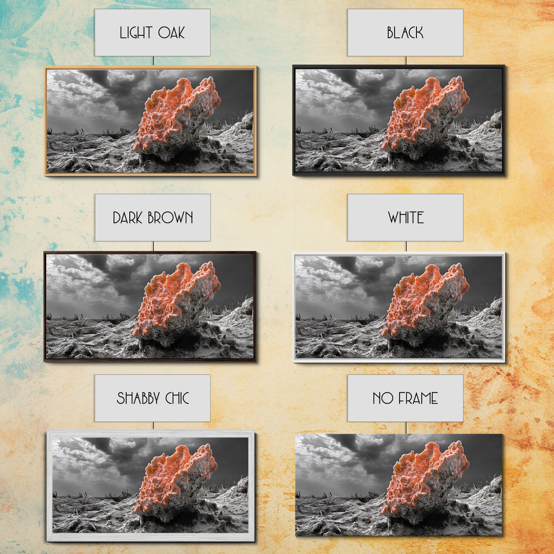 Coral Texture Art, Desert Coral Print, Earthy Organic Decor, Vibrant Nature Scene, Framed Canvas Print, Living Room Wall Art, Natural Art