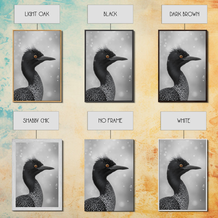 Black Loon, Bird Closeup, Snowy Glow, Winter Nature Canvas Print, Wildlife Wall Art, Modern Bedroom Decor, Birdwatcher Gift Print