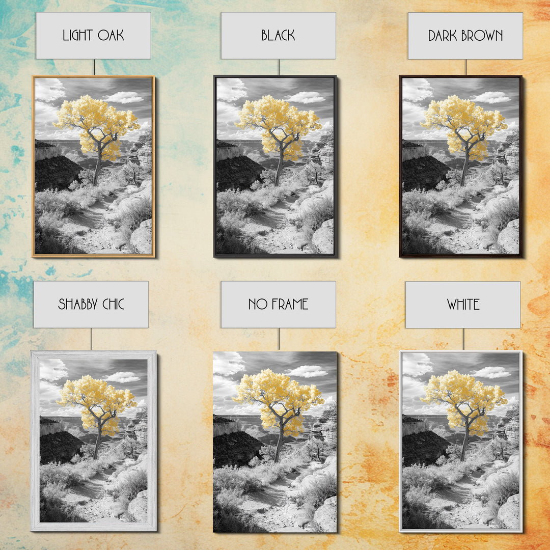 Autumn Canyon Trail, Yellow Tree, Nature Photography, Framed Canvas Print, Fall Wall Decor, Grand Canyon Print, Minimalist Landscape Art