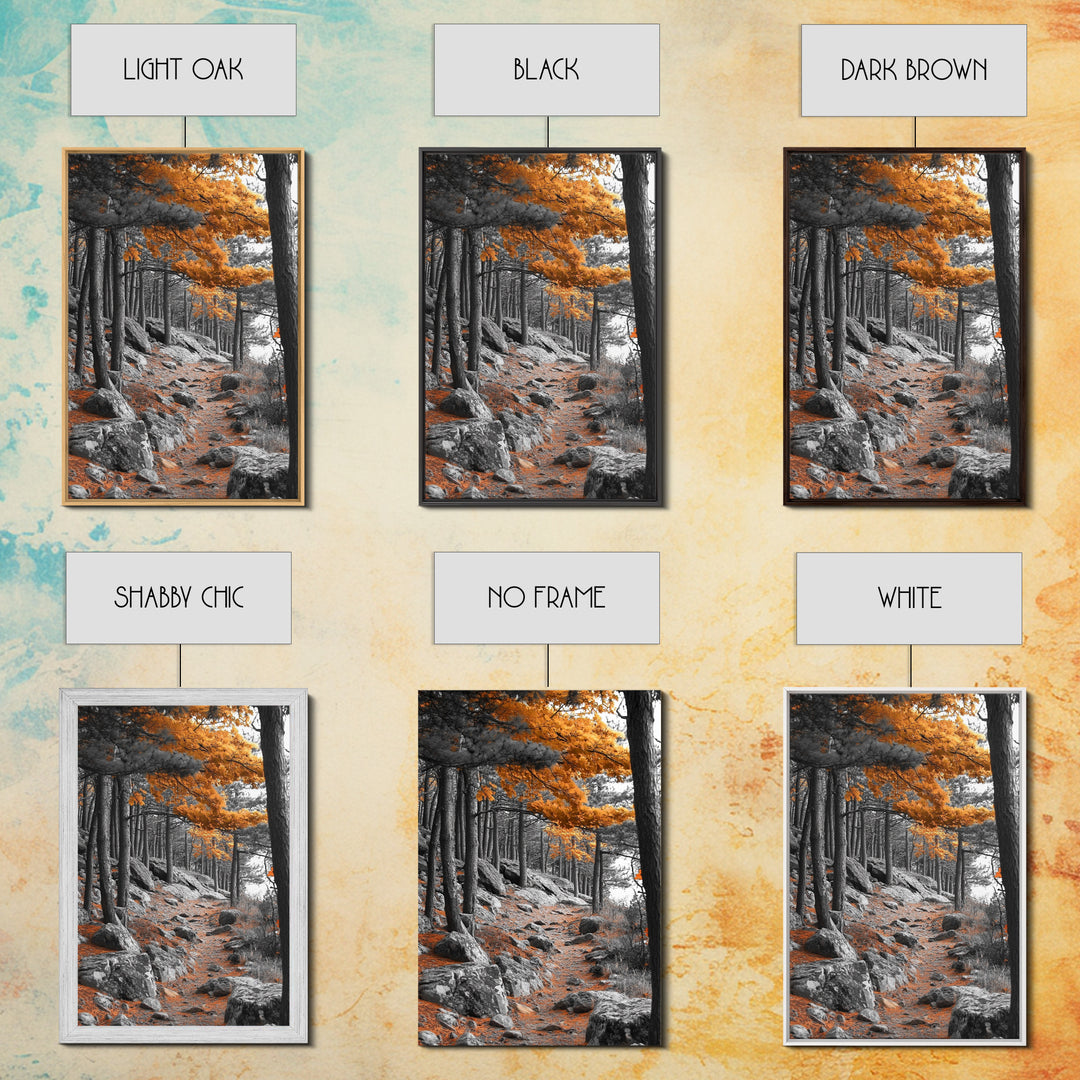 Autumn Forest Path, Orange Leaves, Rocky Woods Trail, Tranquil Nature, Framed Canvas Print, Fall Decor, Cabin Wall Art, Rustic Style