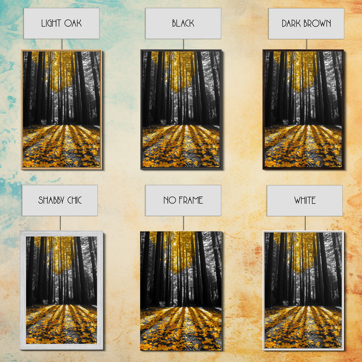 Golden Forest Light, Fall Leaves, Tall Trees Shadows, Tranquil Scene, Framed Canvas Print, Autumn Wall Art, Boho Living Room Decor