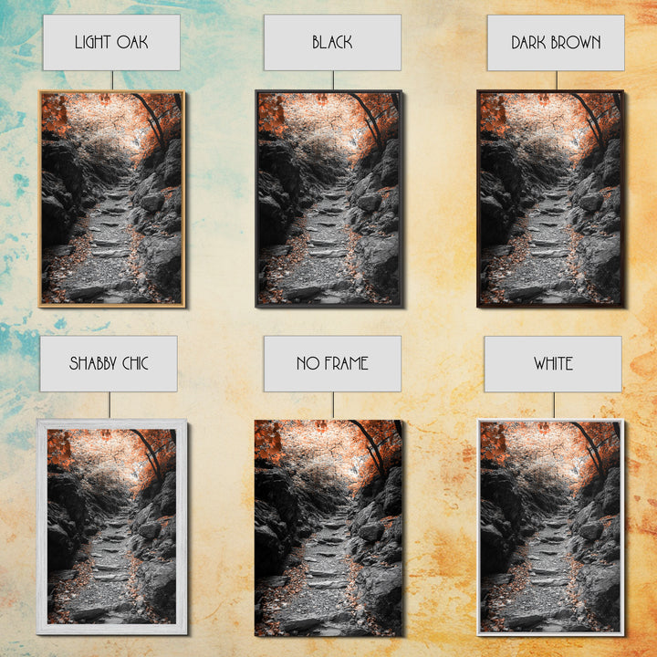 Rocky Trail, Autumn Leaves, Forest Path, Framed Canvas Print, Fall Nature Wall Art, Rustic Entryway Decor, Hiking Landscape Art