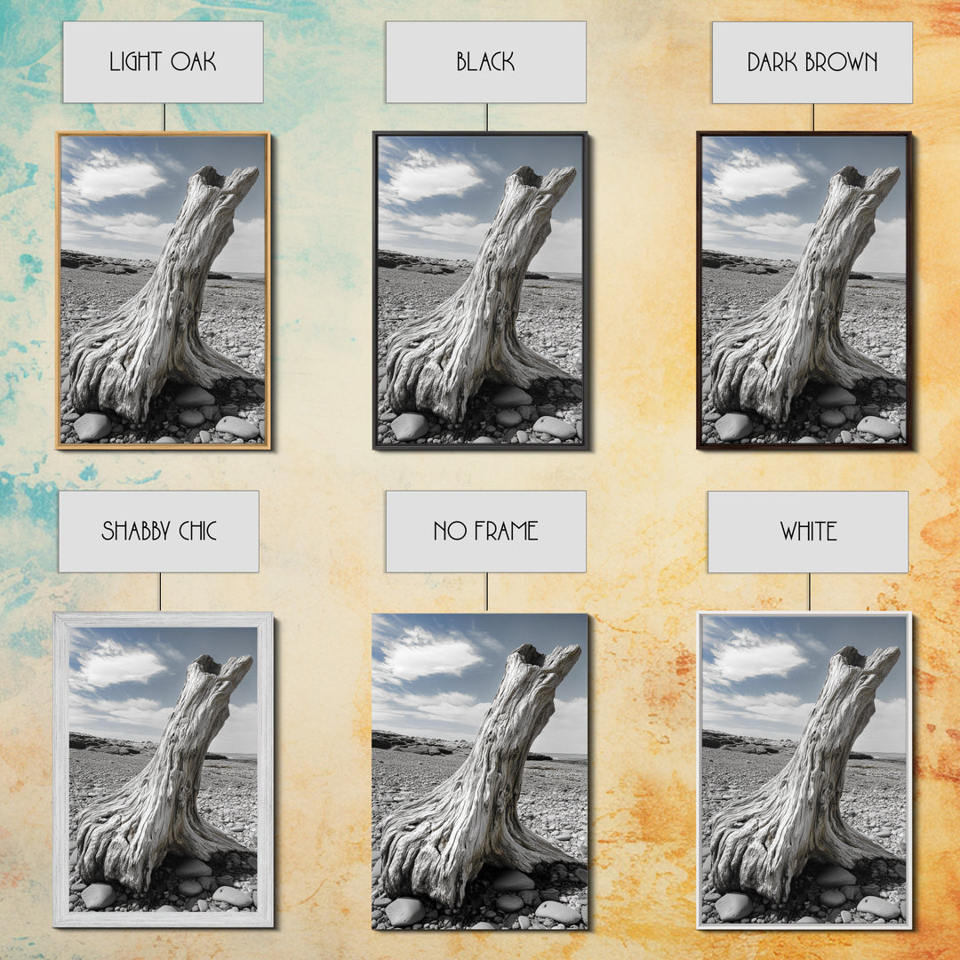 Coastal Driftwood, Beach Stump, Pebble Shore, Framed Canvas Print, Rustic Wall Art, Bathroom Decor, Earthy Beach House Accent