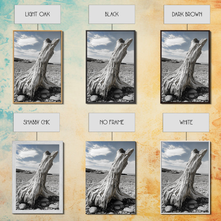 Coastal Driftwood, Beach Stump, Pebble Shore, Framed Canvas Print, Rustic Wall Art, Bathroom Decor, Earthy Beach House Accent