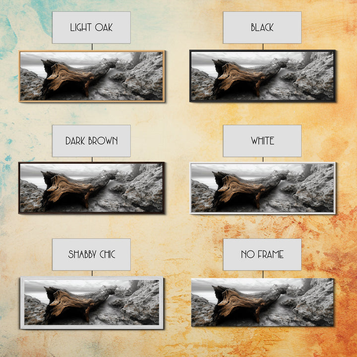 Driftwood Coast, Ocean Roots, Washed Ashore, Beach Texture — Canvas Print, Coastal Decor, Bathroom Wall Art, Monochrome Nature Photography