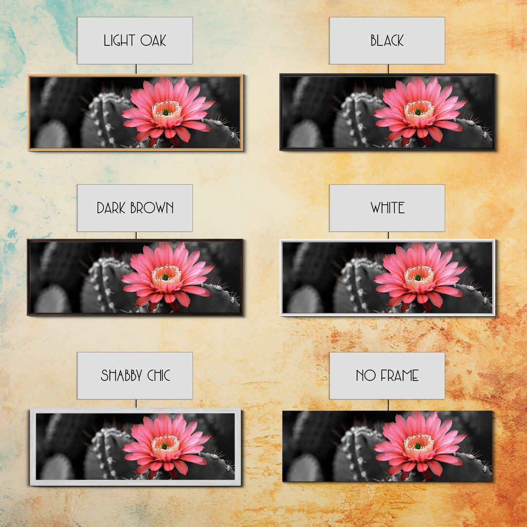 Desert Bloom, Cactus Flower, Vibrant Petals, Nature Beauty, Framed Canvas Print, Boho Wall Art, Living Room Decor, Pink Flower Photography