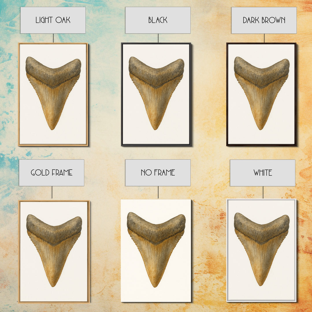 Watercolor Fossil Shark Tooth Wall Art, Nautical Coastal Decor, Ocean Nature Art Print, Beach House Gift, Marine Life Poster