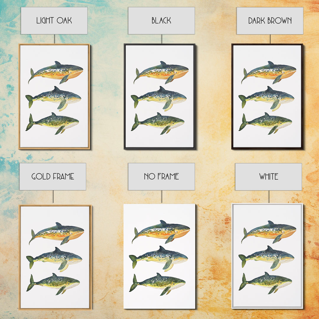Three Colorful Whales Canvas Print, Marine Life Wall Art, Ocean Animal Art Print, Coastal Nursery Decor, Whale Lover Gift