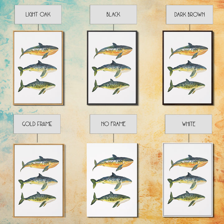 Three Colorful Whales Canvas Print, Marine Life Wall Art, Ocean Animal Art Print, Coastal Nursery Decor, Whale Lover Gift