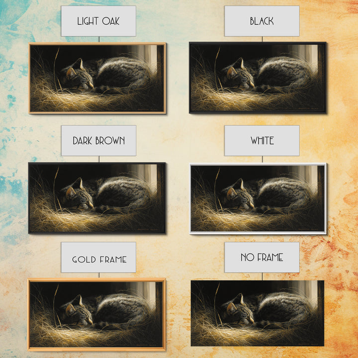Sleeping Cat Curled Framed Canvas Print, Animal Art, Digital Print, Living Room Decor, Fine Art, Creature, Colorful Wall Art, ANI-2x1-80