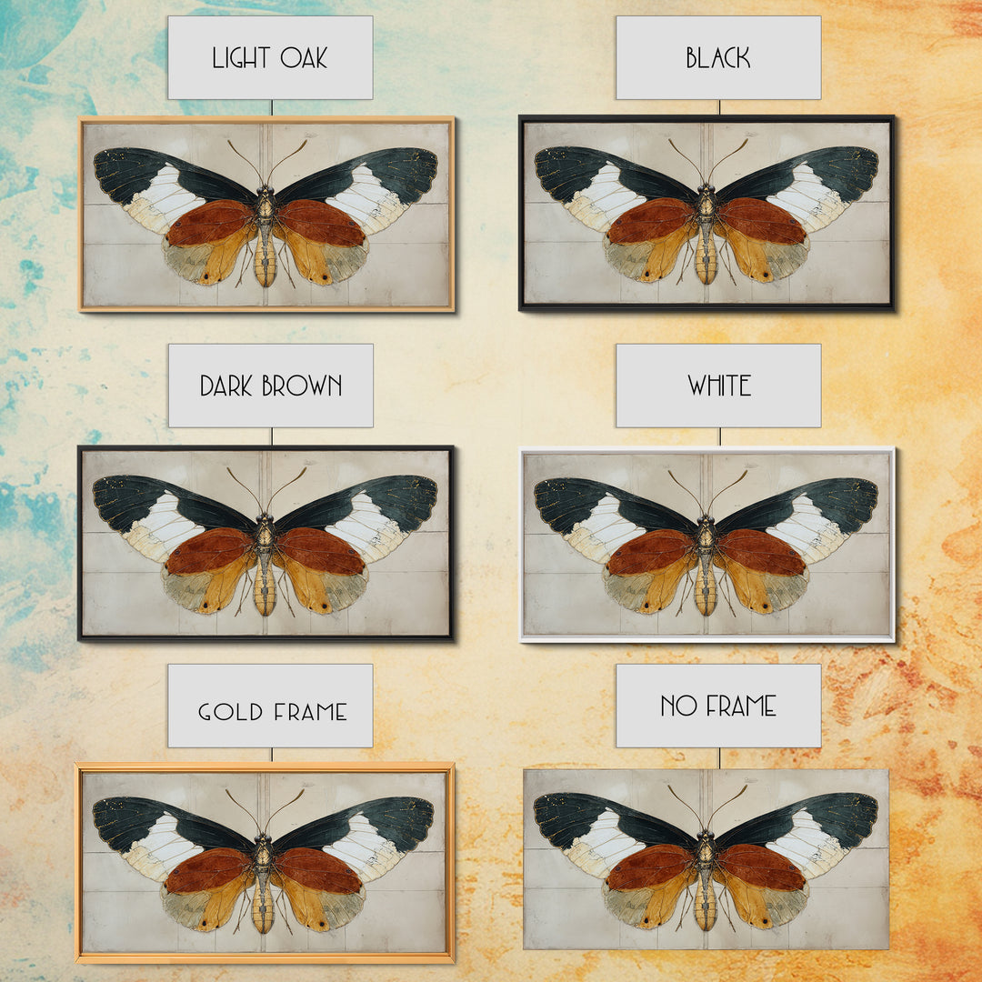 Butterfly Specimen Composition Framed Canvas Print, Animal Art, Digital Art, Living Room Decor, Creature, Farmhouse Decor, ANI-2x1-91