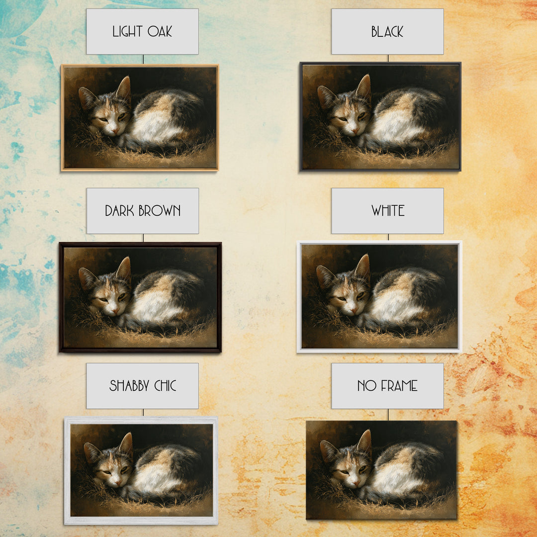 Sleeping Cat Curled Framed Canvas Print, Animal Art, Farmhouse Decor, Living Room Decor, Oil Painting, Creature, Neutral Decor, ANI-3x2-40