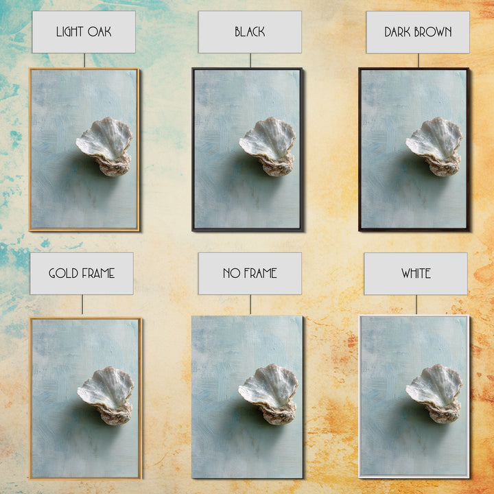 Oyster Shell Study Framed Canvas Print, Bathroom Art, Wall Decor, Bathroom Decor, Fine Art, Spa, Contemporary Art, Wall Art, BAT-2x3-30