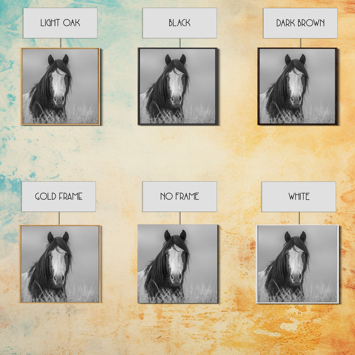 Black and White Wild Horse Portrait Canvas Print, Black and White Art, Fine Art Print, Living Room Decor, Oil Painting, BAW-1x1-5