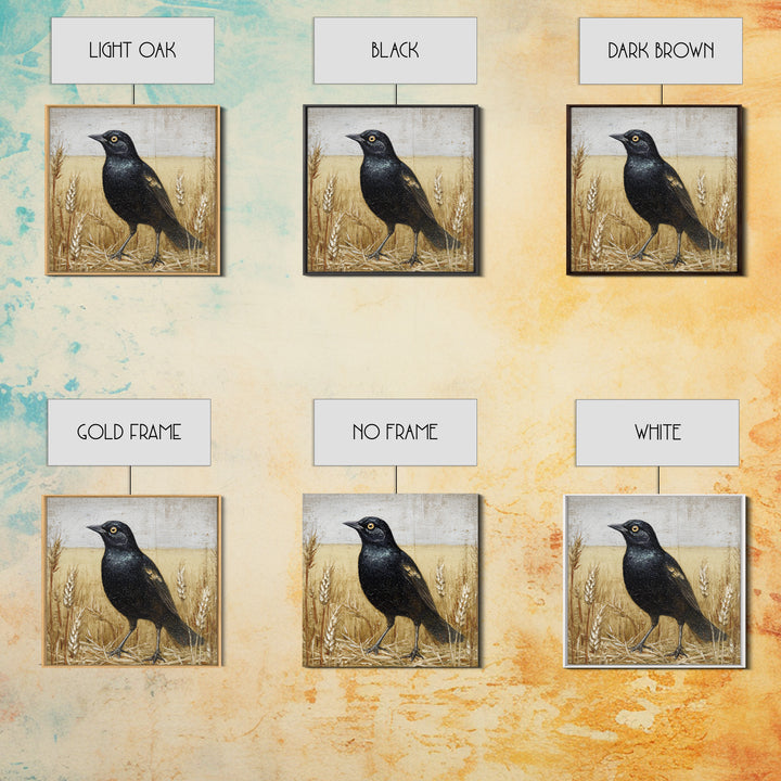 Blackbird on Gold Wheat Field Framed Canvas Print, Bird Art, Nature Prints, Living Room Decor, Watercolor Art, Flight, BIR-1x1-24