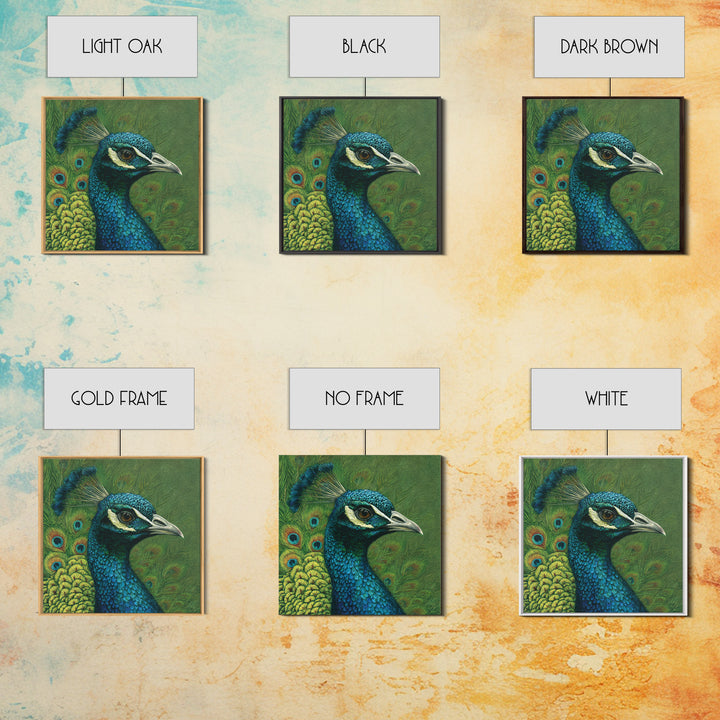 Peacock with Jewel Tone Feather Pattern Framed Canvas Print, Bird Art, Fine Art Print, Living Room Decor, Oil Painting, Flight, BIR-1x1-79