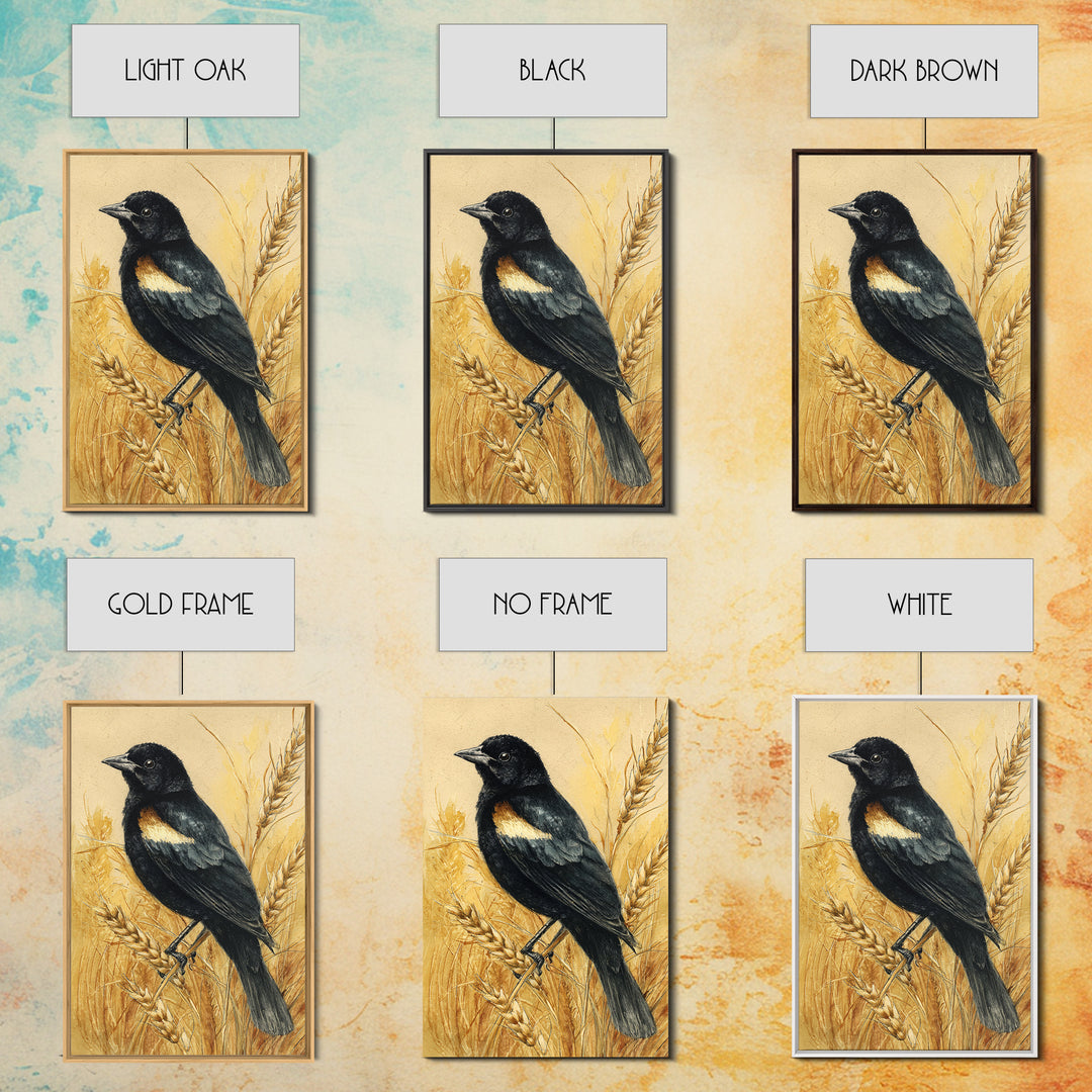 Blackbird on Gold Wheat Field Canvas Print, Bird Art, Bird Wall Art, Living Room Decor, Fine Art, Flight, Art Print, BIR-2x3-32