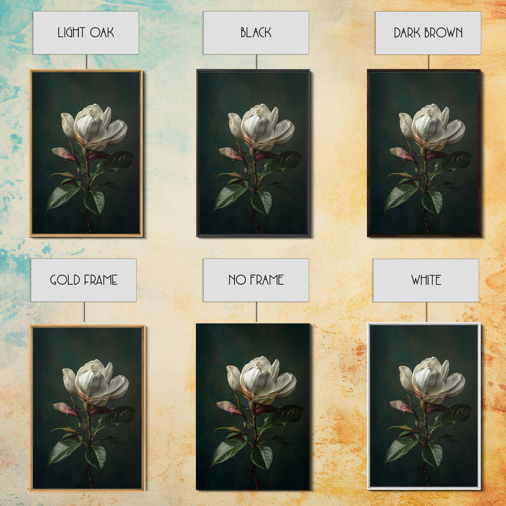 Dramatic White Magnolia on Dark Background Canvas Print, Botanical Art, Wall Art, Living Room Decor, Watercolor Art, Botanic, BOT-2x3-14