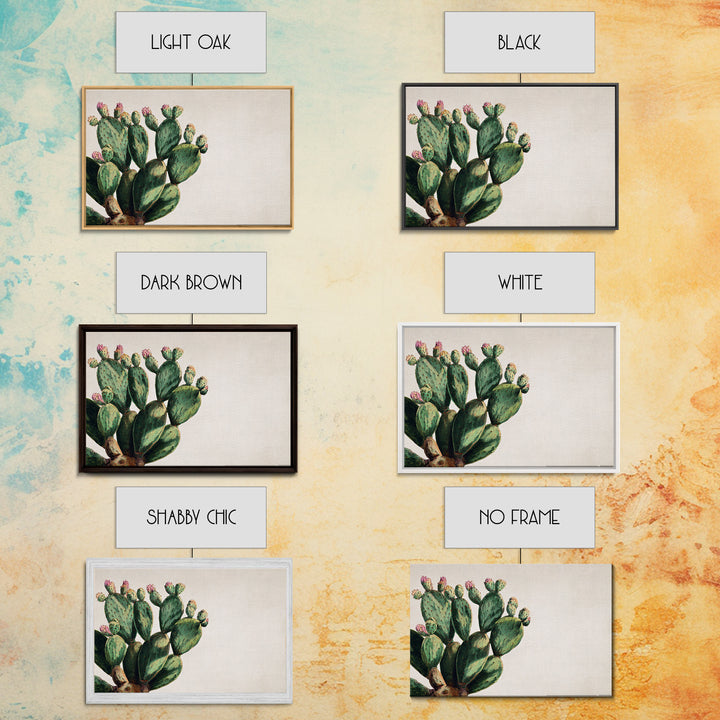 Cactus Botanical Plate Framed Canvas Print, Botanical Art, Living Room Wall Art, Living Room Decor, Fine Art, Botanic, BOT-3x2-65