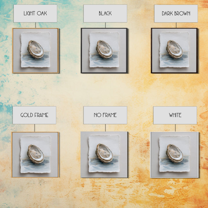 Oyster Shell Study Framed Canvas Print, Coastal Art, Beach Art, Coastal Decor, Oil Painting, Coastal, Room Decor, COA-1x1-51