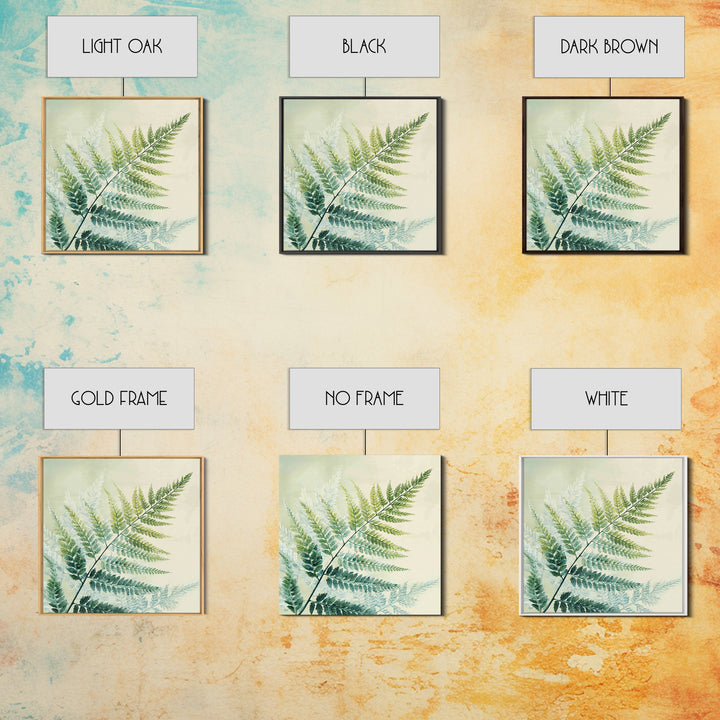Botanical Fern Study Framed Canvas Print, Dental Office Art, Dental Hygiene, Office Decor, Fine Art, Calm, Medical Office Art, DOA-1x1-43