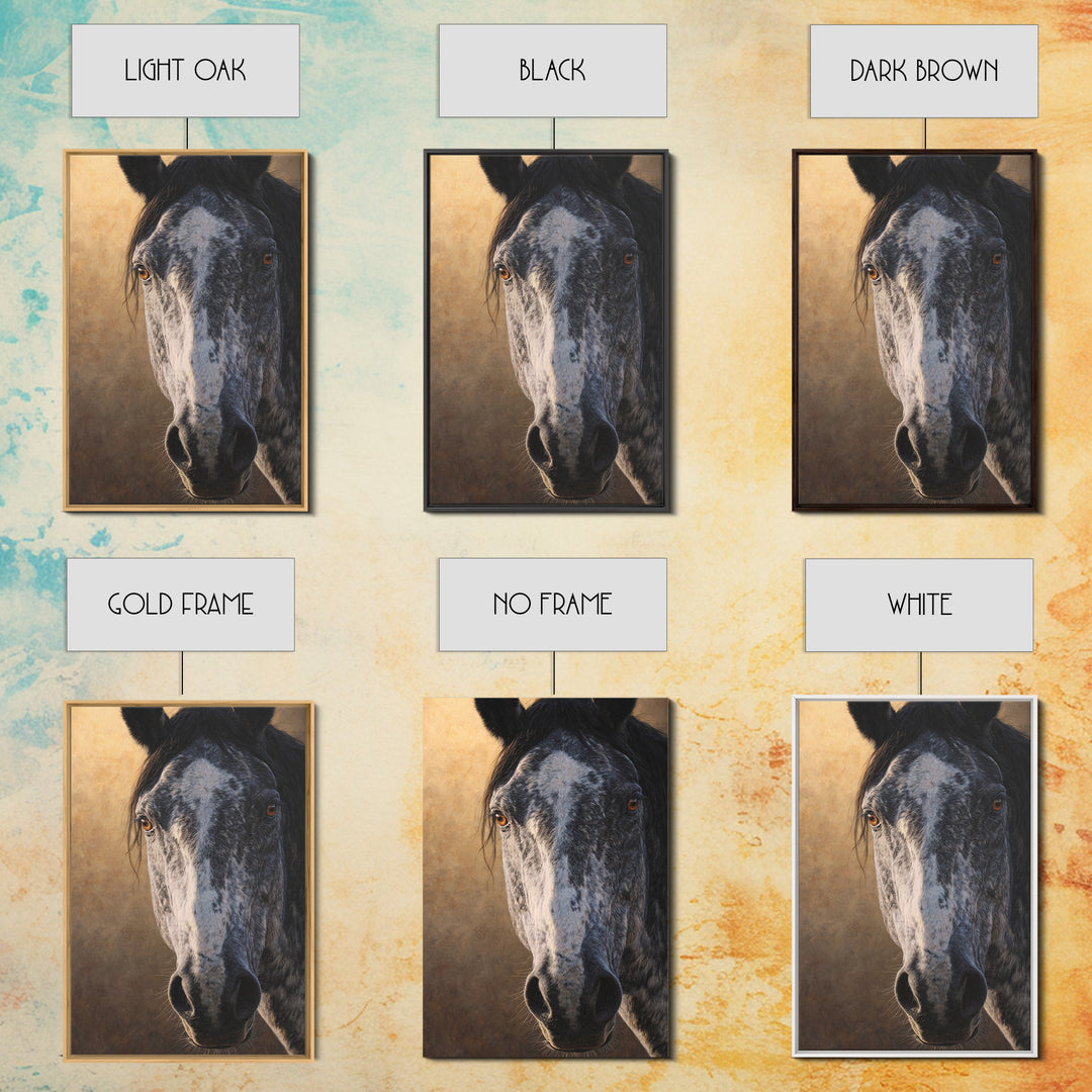 Contemporary Horse Portrait Framed Canvas Print, Living Room Art, Home Decor, Living Room Decor, Fine Art, Living, LIR-2x3-18