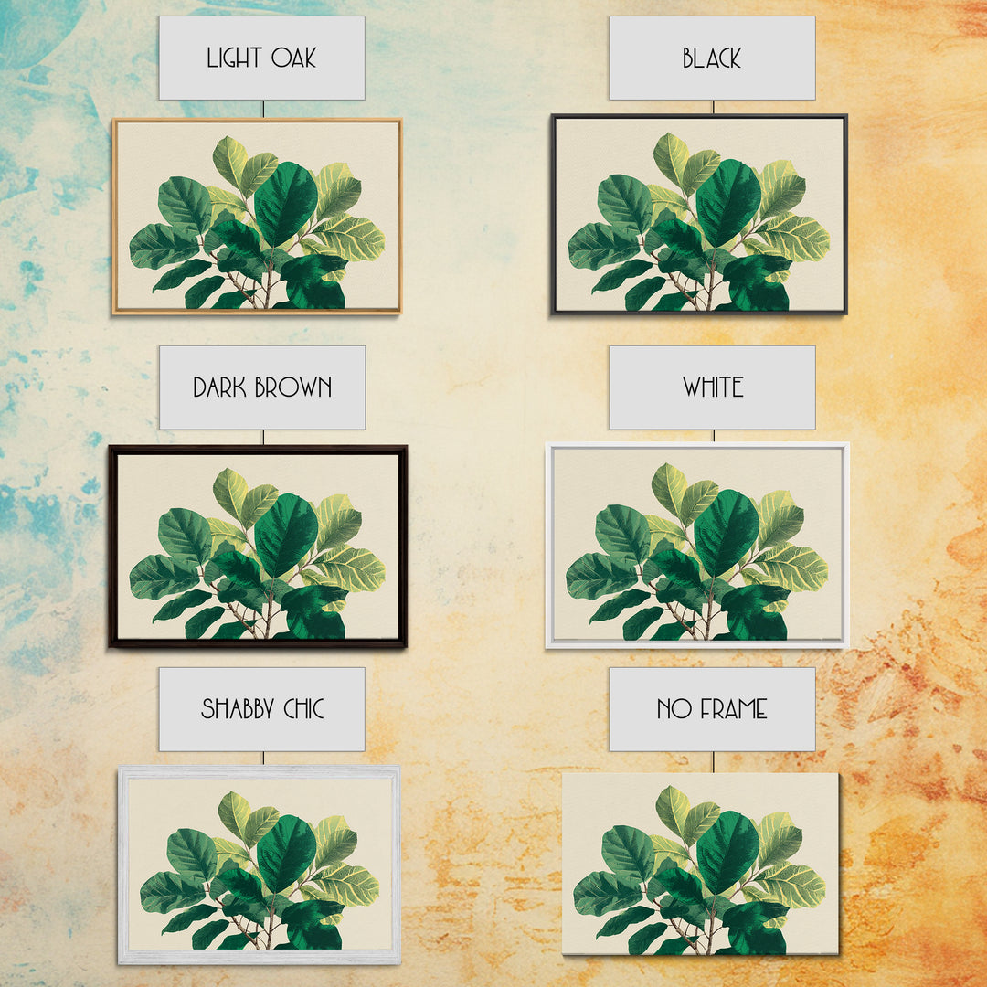 Lush Green Fiddle Leaf Fig Wall Art, Botanical Midcentury Modern Decor, Nature Canvas Print For Living Room Or Office Decor