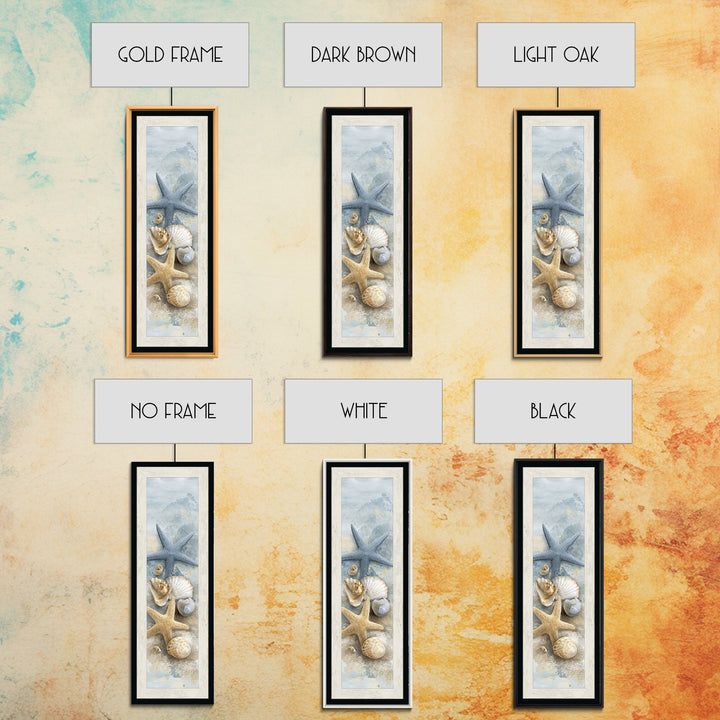 Starfish and Shells Natural Specimen Layout Canvas Print, Marine Life Art, Fine Art Print, Living Room Decor, Fine Art, Marine, MLA-1x3-73
