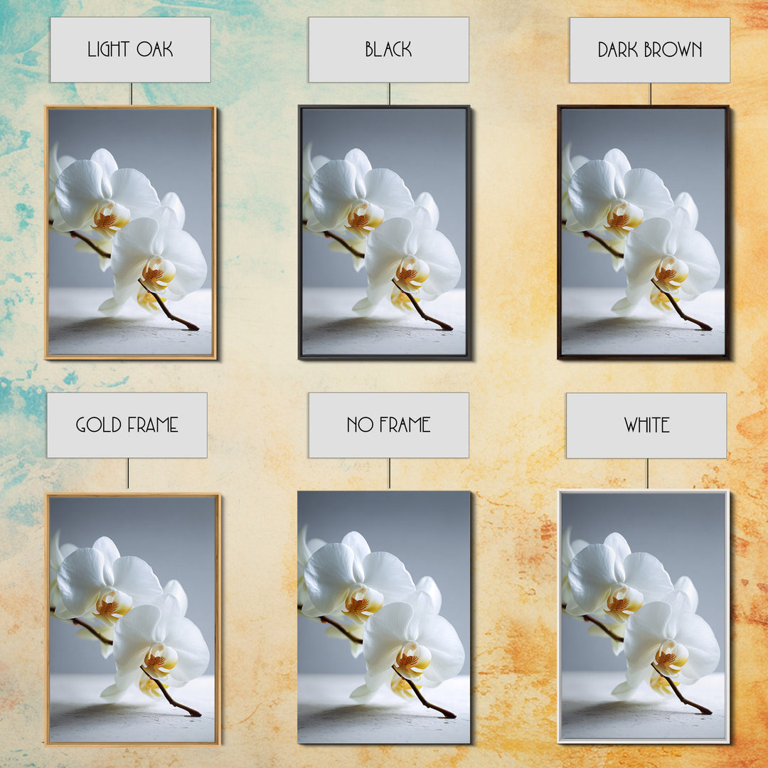 White Orchid on Gray Stone Surface Canvas Print, Medical Office Art, Art Print, Office Decor, Oil Painting, Calm, Printable Art, MOA-2x3-14