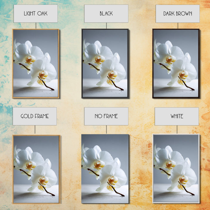 White Orchid on Gray Stone Surface Canvas Print, Medical Office Art, Art Print, Office Decor, Oil Painting, Calm, Printable Art, MOA-2x3-14