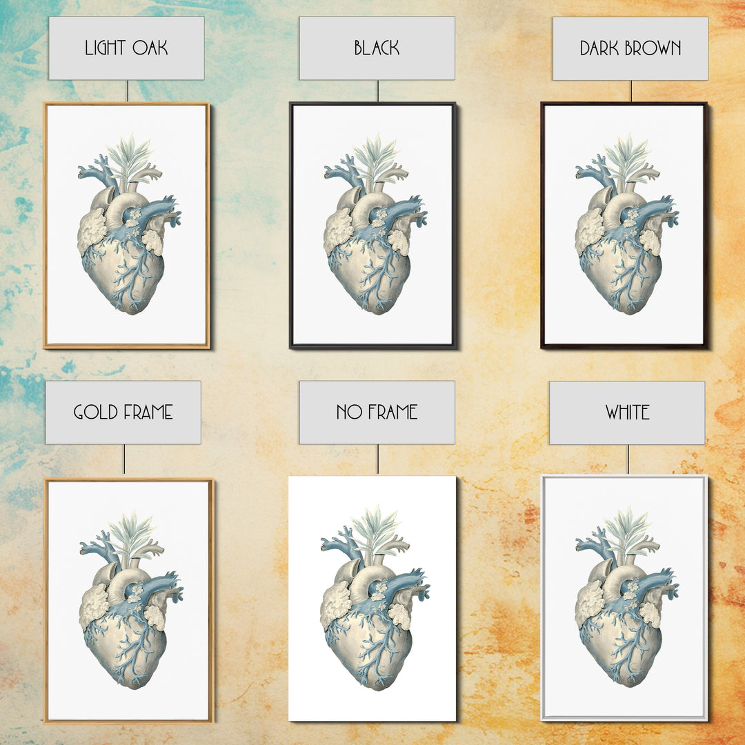Anatomical Heart Rendered as Tasteful Botanical Art Canvas Print, Medical Office Art, Dental Office Decor, Office Decor, Calm, MOA-2x3-93