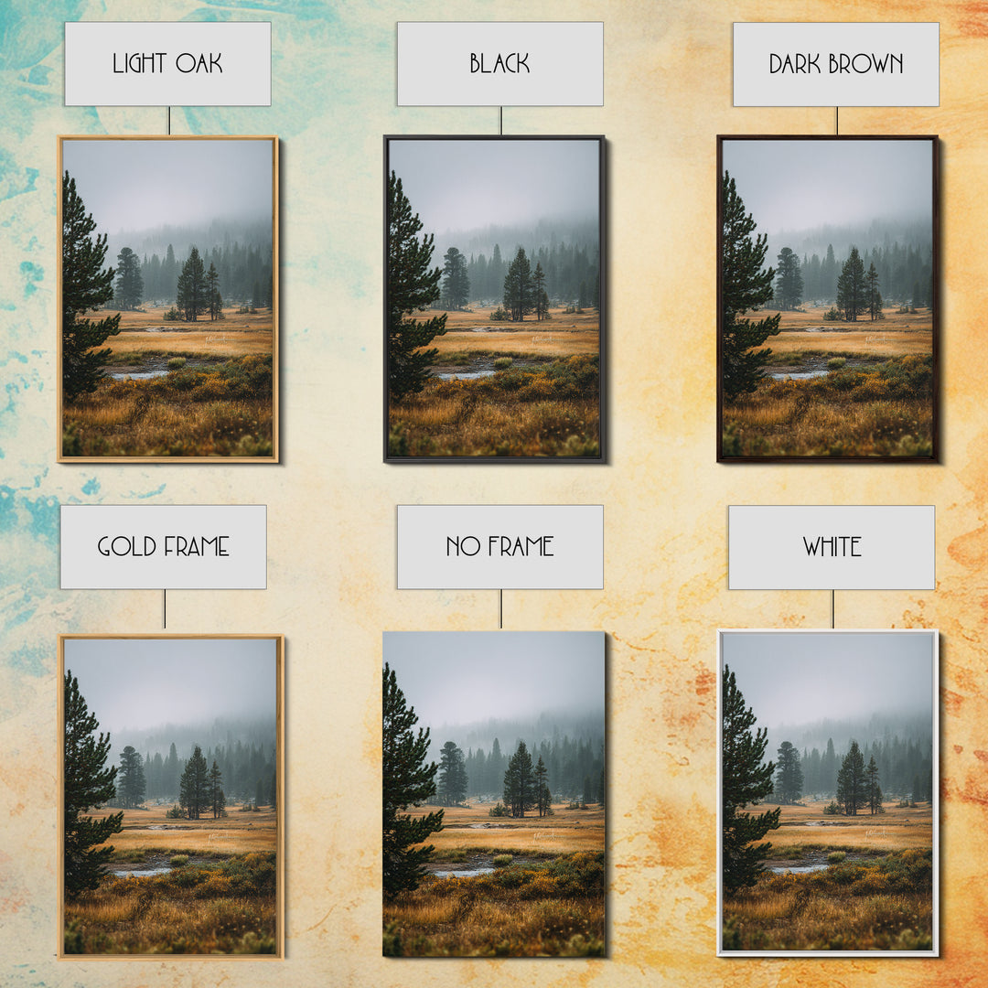 Moody Pine Forest Framed Canvas Print, Nature Art, Framed Art, Living Room Decor, Nature, Botanical Art, Digital Download Art, NAT-2x3-73