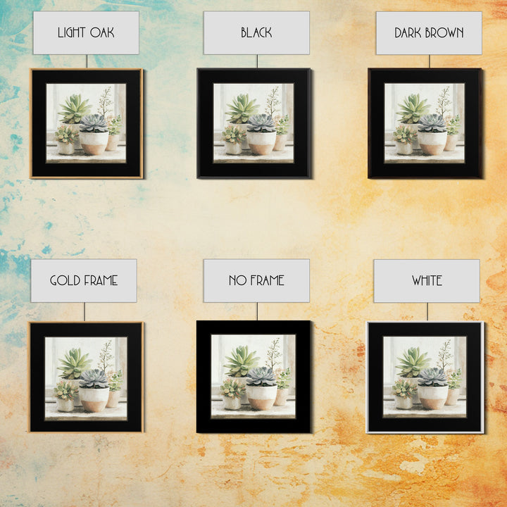 Succulent Collection in Ceramic Planters Framed Canvas Print, Patio Art, Mixed Media Art, Patio Decor, Fine Art, Outdoor, PAT-1x1-21