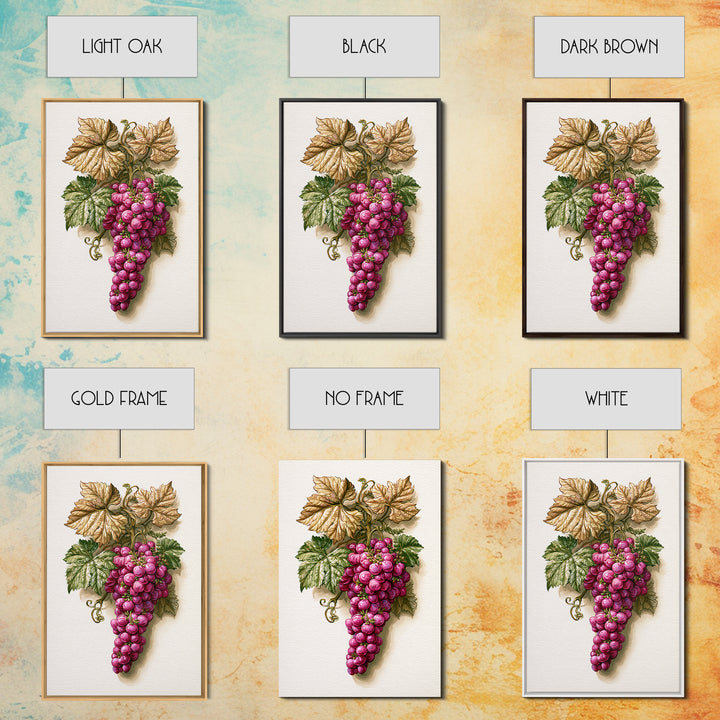 Wine Grapevine Botanical Study Canvas Print, Restaurant Art, Canvas, Restaurant Decor, Fine Art, Bistro, Living Room Decor, RES-2x3-23