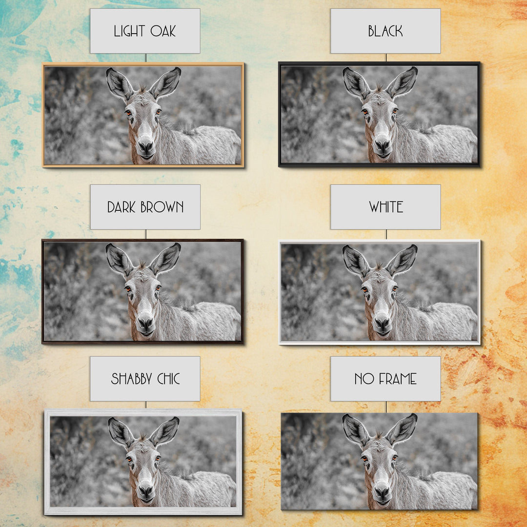 Donkey Close-Up Framed Canvas Print | Rustic Farmhouse Art | Moody Animal Portrait | Southwest Wall Art | Extra Wide Art | Above Couch Decor