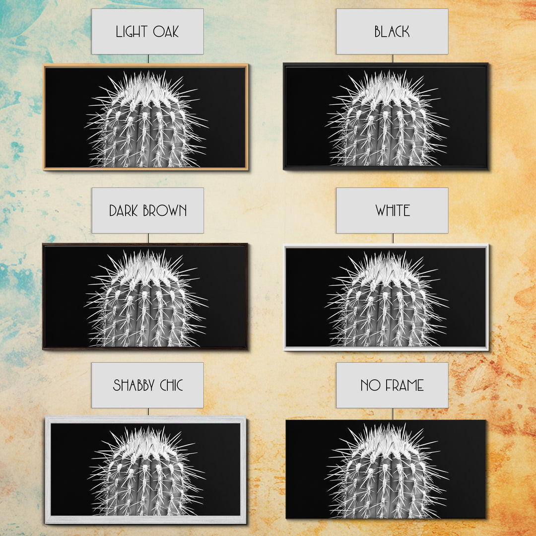 Cactus Spines, southwest wall art, desert art, botanical prints, geometric wall art, nature photography, sharp contrast, Framed Canvas Print