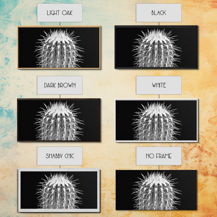 Cactus Spines, southwest wall art, desert art, botanical prints, geometric wall art, nature photography, sharp contrast, Framed Canvas Print