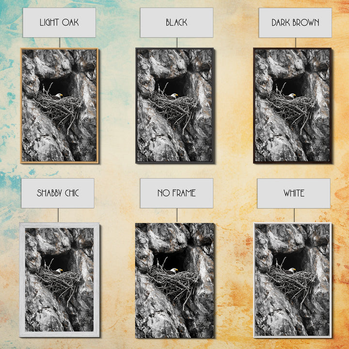 Bald eagle, wildlife art, bird wall art, framed canvas print, nature decor, mountain painting, eagle nest, rustic wall art, cabin decor