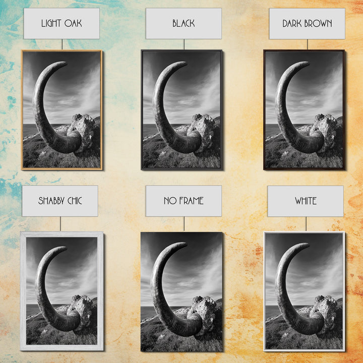 Ancient Horn, ozymandias art, rustic wall art, moody decor, nature landscape art, wabi sabi art, framed canvas print, farmhouse decor