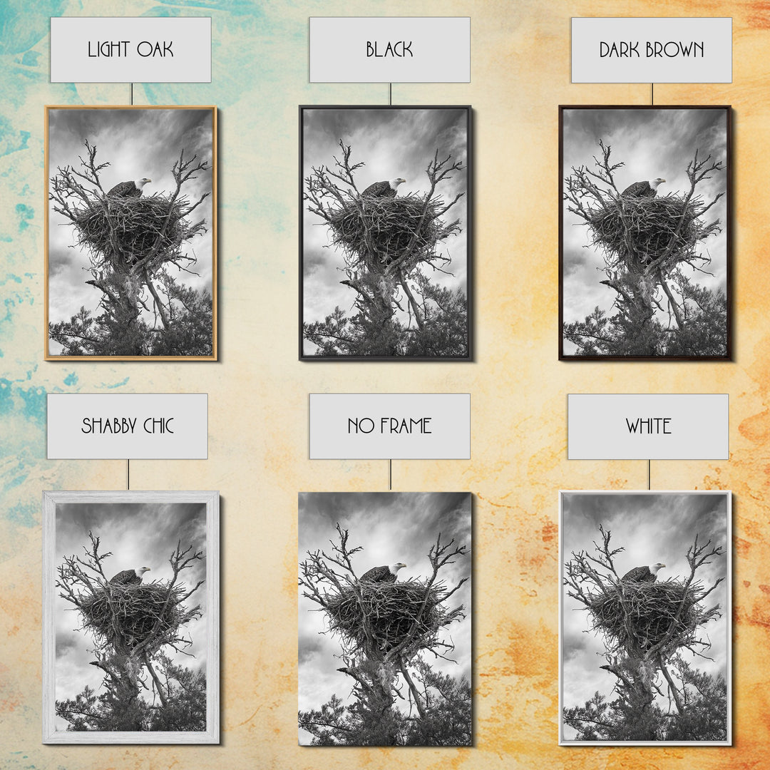 Bald Eagle, bird art, nature photography, moody art, rustic decor, patriotic wall art, black and white, framed canvas print, wildlife art