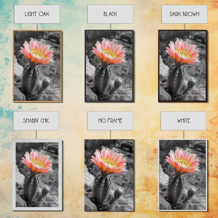 Blooming cactus, botanical print, desert flora, framed canvas print, nature decor, succulent wall art, pink flowers, southwest painting